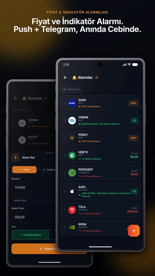 Fiyat ve indikatör alarmları — Push + Telegram